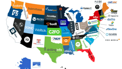 Top 5 startups in the US