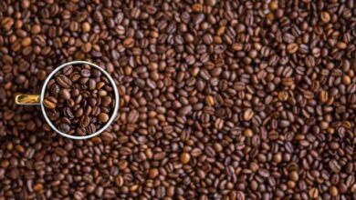 AI that can taste coffee Coffee tasting AI - a new future?