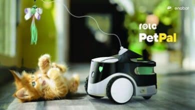Discover Enabot's ROLA series: Redefining Pet Interaction with Innovative Technology.