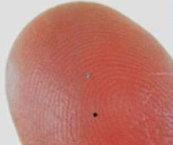 You hold the world's smallest chip everyday
