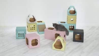 By Paper cat house
