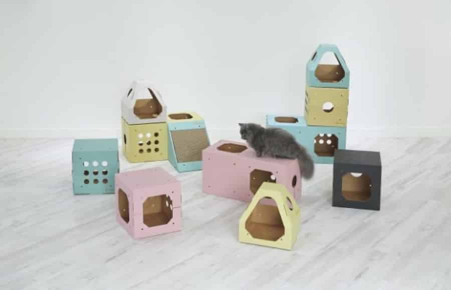 By Paper cat house