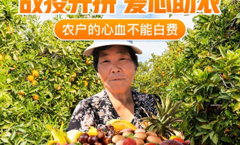 Pinduoduo beats revenue expectatuions Pinduoduo beats revenue expectations