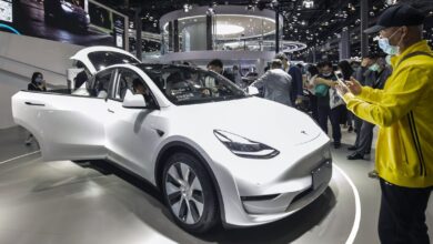 Tesla sales bounce back Tesla’s China Sales Bounce Back