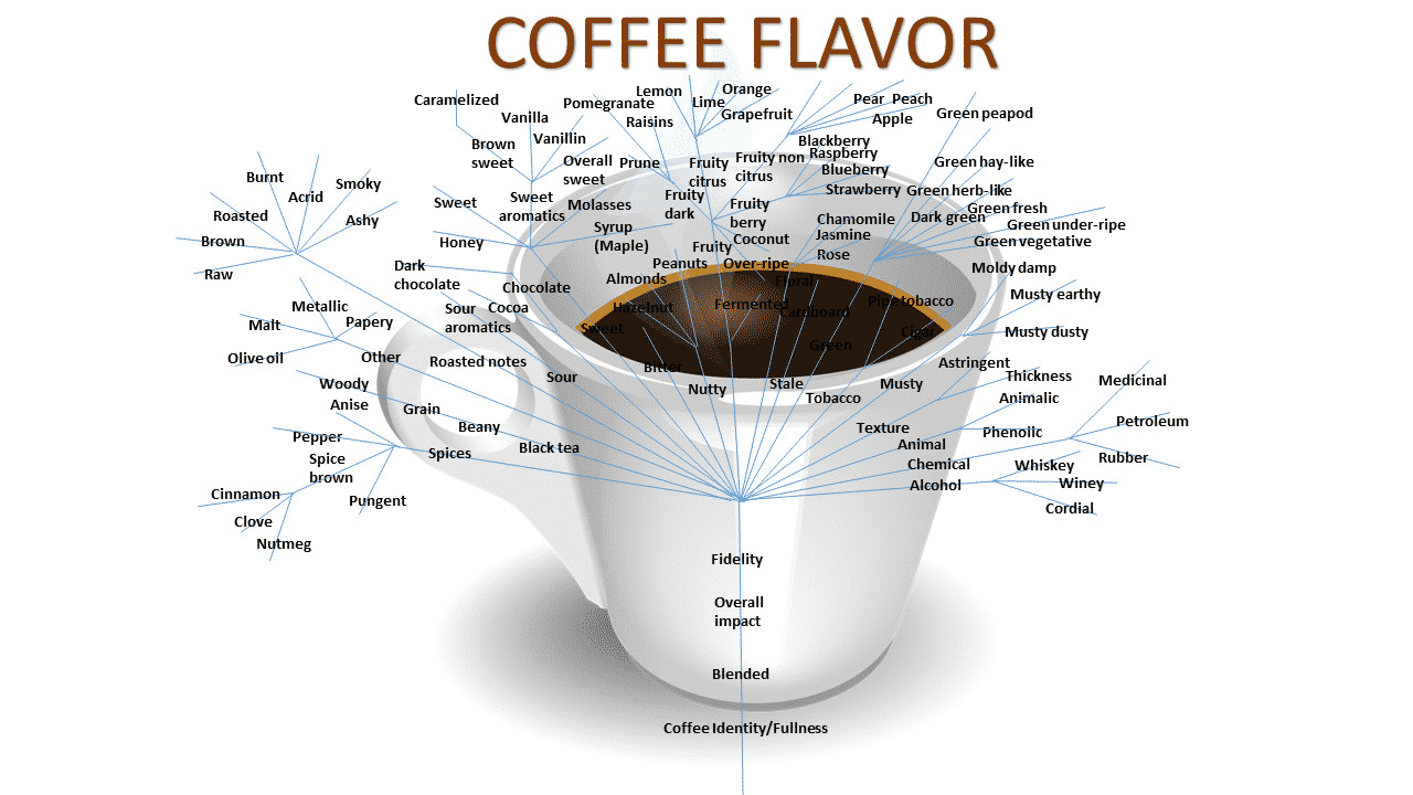 coffee flavours Coffee tasting AI - a new future?