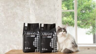 Alfred-cat-litter-coffee-grounds