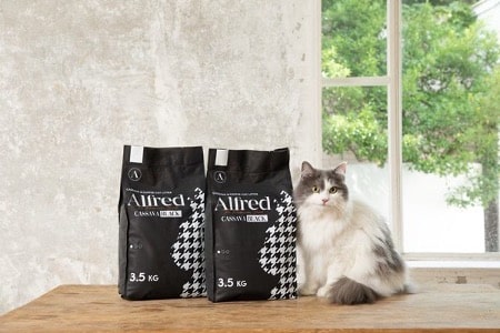 Alfred-cat-litter-coffee-grounds