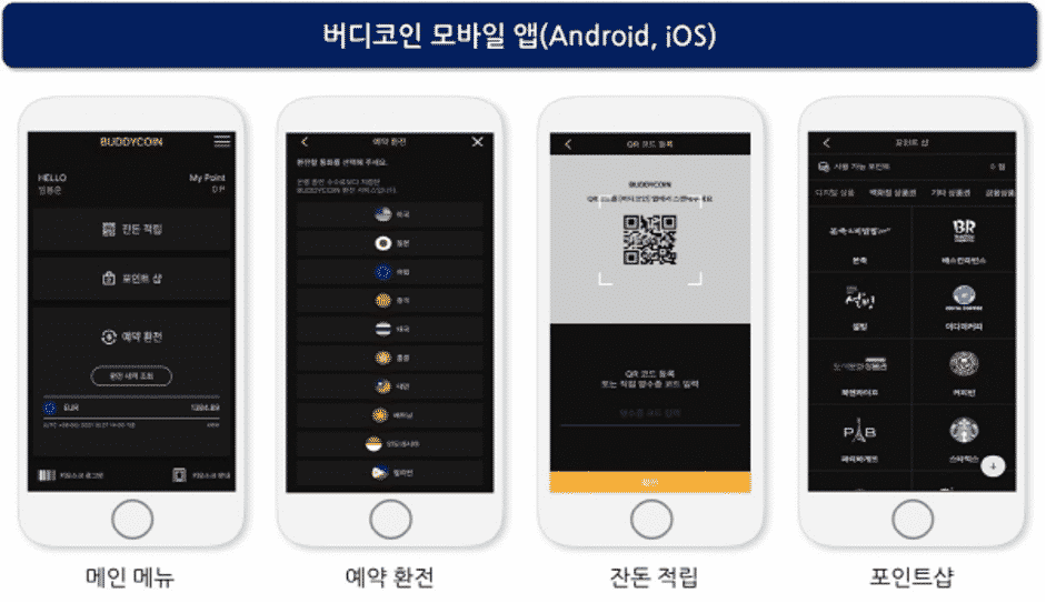 currency management 2 Integrated Foreign Currency Management System - Buddy