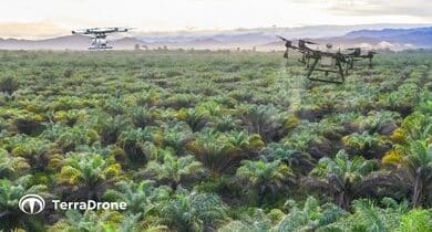 Discover how Terra Drone's acquisition of Avirtech is reshaping agriculture in Southeast Asia.
