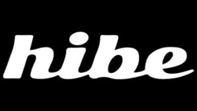 Explore how Hibe melds news aggregation with social interaction.
