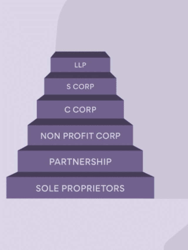 What Legal Structure Do Most Startups Use​