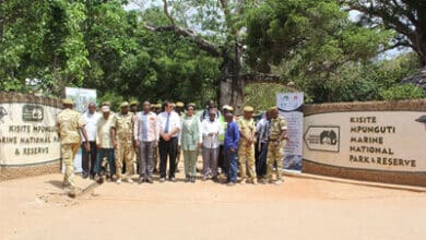 Tech4Nature initiative launches to safeguard Kenya's coral reefs.