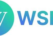 WSPN debuts its new website, highlighting enhanced stablecoin payment solutions.