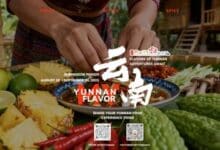 Creators worldwide are invited to share Yunnan’s unique flavors in a global video challenge.