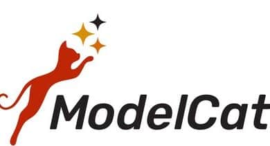 ModelCat eIQ Model Creator enables rapid, automated AI model development for NXP devices.