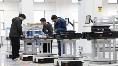 Robots wowed visitors at the Big Data Expo as Gui'an advances in AI and data innovation.