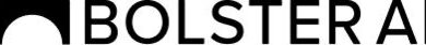 Bolster AI powers Brand Guardian to protect enterprises from AI-driven digital fraud.