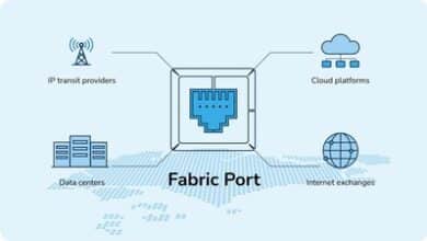 Zenlayer debuts Fabric Port in Singapore, enabling efficient, global digital connectivity.