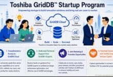 Toshiba’s GridDB Startup Program offers vital resources to help startups innovate faster.